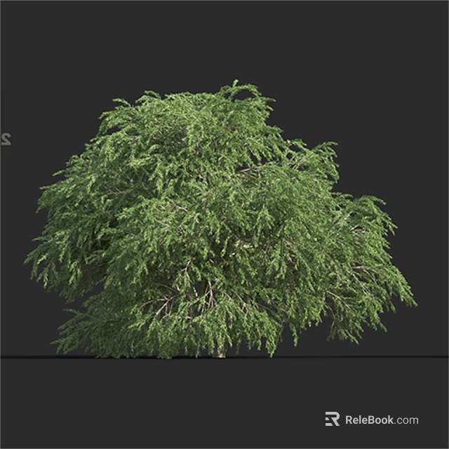 Lush Green Shrub with Dense Foliage for Garden Landscaping Design 3d model 