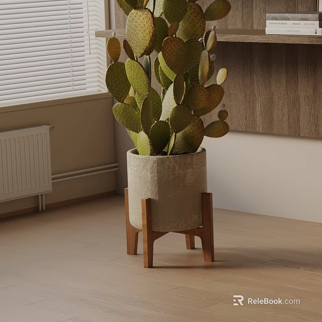 Modern Potted Cactus Plant In Textured Ceramic Pot With Wooden Stand 3d model 