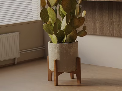 Modern Potted Cactus Plant In Textured Ceramic Pot With Wooden Stand 3d model