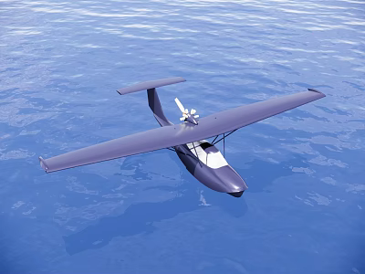Seaplane Flying Above Blue Water Surface With Smooth Waves And Sky 3d model
