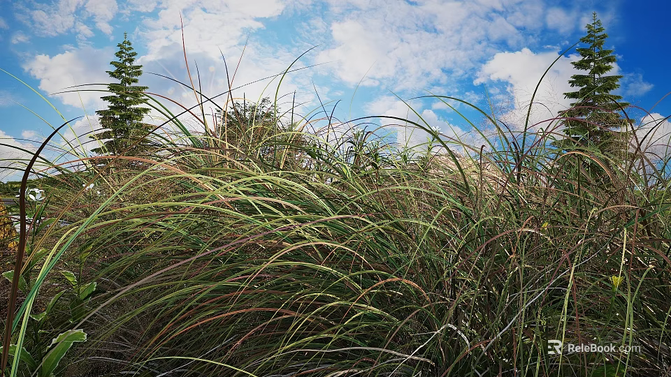 Tall Green Grasses Swaying Under Blue Sky With White Clouds And Pine Trees 3d model 
