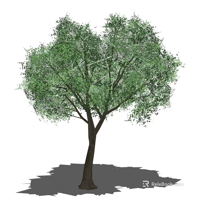 Lush Arbor Tree With Green Leaves And Thick Trunk In Natural Scene 3d model 