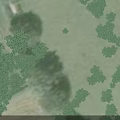 Aerial Planning Of Rural Area With Green Fields Trees And Agricultural Plots
