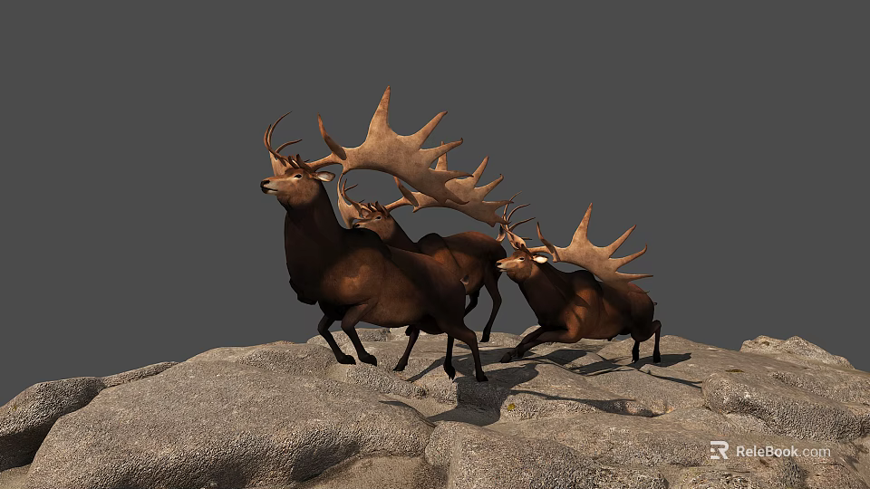 Reptiles Basking On Rocky Surfaces In Natural Outdoor Wildlife Habitat 3d model 