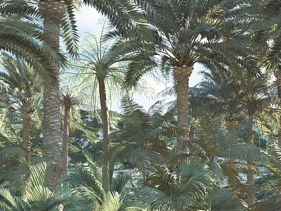 Tall Palm Trees with Lush Green Fronds in Tropical Natural Garden Under Sunlight 3d model