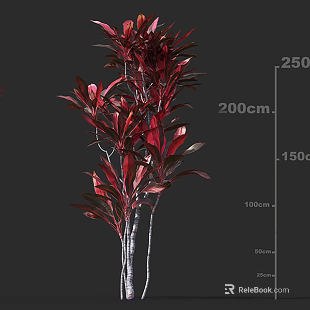 Ornamental Arbor With Vibrant Red Leaves Displaying Various Height Dimensions For Decoration 3d model 