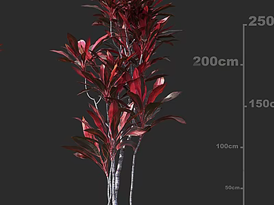Ornamental Arbor With Vibrant Red Leaves Displaying Various Height Dimensions For Decoration 3d model