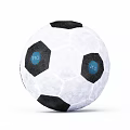 Professional Soccer Ball Sports Equipment With Black White Panels And Blue Labels