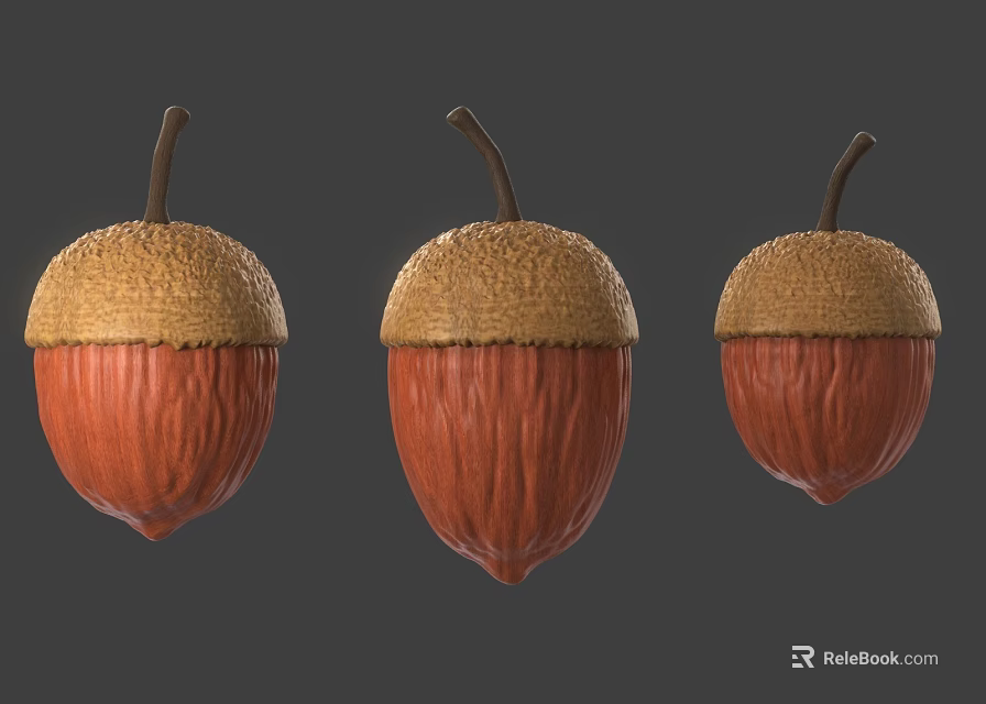 Three Acorn Natural Organic Food With Brown Shell And Textured Caps On Gray Background 3d model 