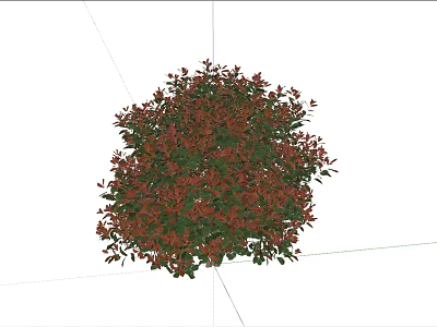 Lush Round Shrub With Red And Green Foliage For Garden Landscaping 3d model