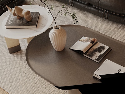 Modern coffee table model