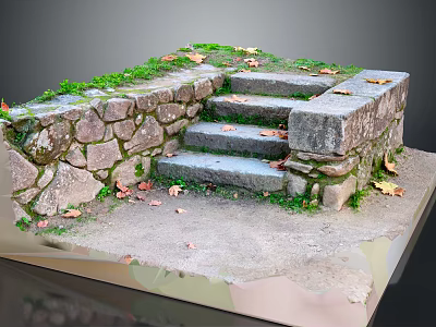 Natural Stone Steps And Walls Decorated With Moss And Scattered Fallen Leaves 3d model