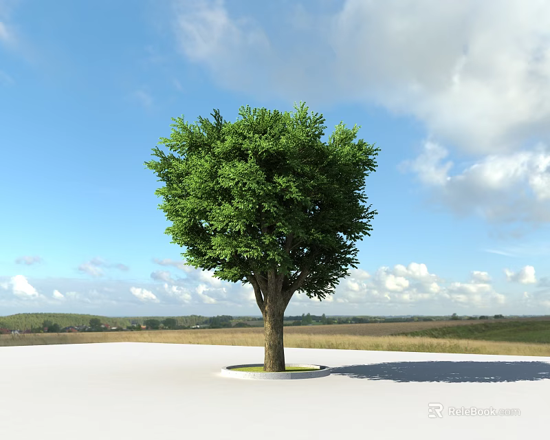 Garden Landscape Featuring Large Tree With Lush Green Leaves Under Blue Sky And White Clouds 3d model 