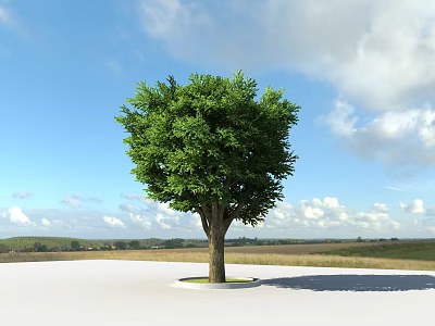 Garden Landscape Featuring Large Tree With Lush Green Leaves Under Blue Sky And White Clouds 3d model