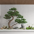 Indoor Landscape Design With Bonsai Pine Tree Decorative Rocks And Small Green Plants