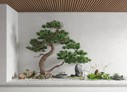 New Chinese style landscape sketch interior landscape landscaping courtyard landscape sketch landscape tree 3d model