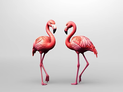 Two Pink Flamingos Standing Facing Each Other Against Grey Background With Elegant Posture 3d model