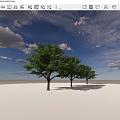 Lush Green Arbor Trees With Thick Trunks Against Blue Sky And White Ground
