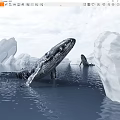 Majestic Humpback Whale Gracefully Swimming In Clear Ocean Water Near Large Icebergs