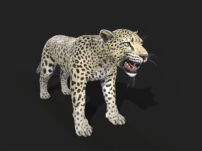 cheetah leopard leopard arabian leopard mammal beast beast wild animal 3d model