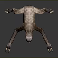 Sloth Game Character With Extended Limbs Long Claws And Brown Fur 3d model