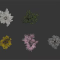 Colorful Trees with Yellow White Green Pink and Gray Foliage on Dark Background