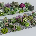 Various Colorful Flowers And Mixed Green Plants In Garden Landscape With Decorative Stones