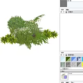 Lush Green Plant Combination With Ferns Bushes And White Flowering Plants
