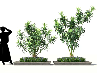 Modern Artistic Outdoor Plant Arrangement With Tall Green Plants Decorative Pedestals And Small Shrubs 3d model