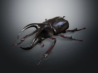 Black Rhinoceros Beetle With Large Curved Horns And Red Legs On Dark Background 3d model