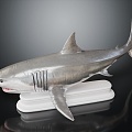 Modern Shark Great White Shark White Shark 3d model