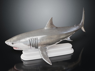 Modern Shark Great White Shark White Shark 3d model