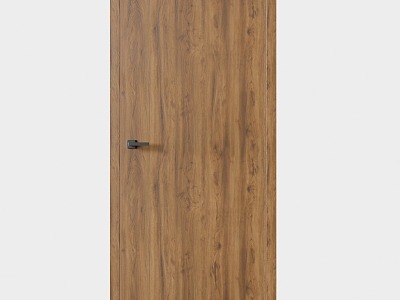 Simple Flat Wooden Door model