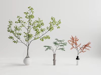 Modern potted plant potted landscape tree 3d model