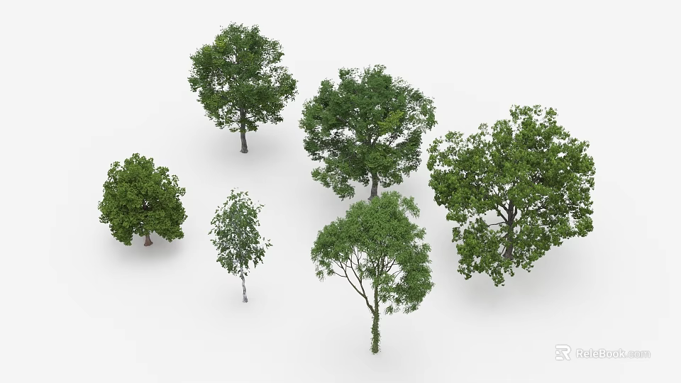 Various Green Leafy Trees in 3D Render Display with White Background 3d model