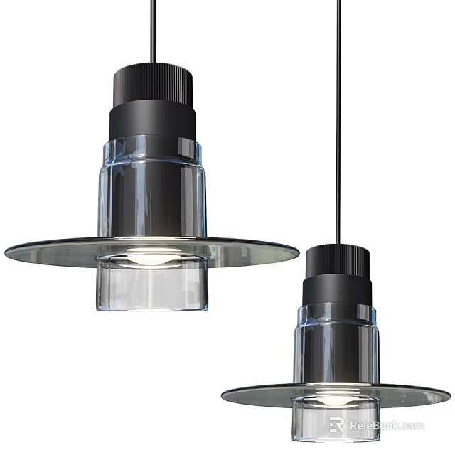 Two Modern Pendant Lights With Transparent Glass And Black Metal Design 3d model 