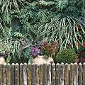 Lush Living Plant Wall With Colorful Flowers Waterfall Feature And Wooden Fence