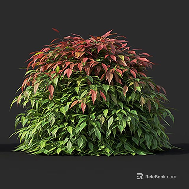 Vibrant Garden Shrub With Lush Red And Green Leaves And Dense Foliage 3d model 