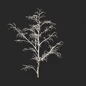 autumn and winter plants shrub tree snow cover 3d model