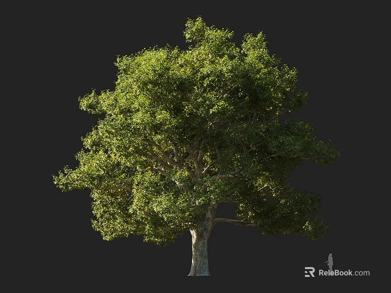 Tall Arbor With Lush Green Foliage And Thick Trunk Near Human Figure 3d model 