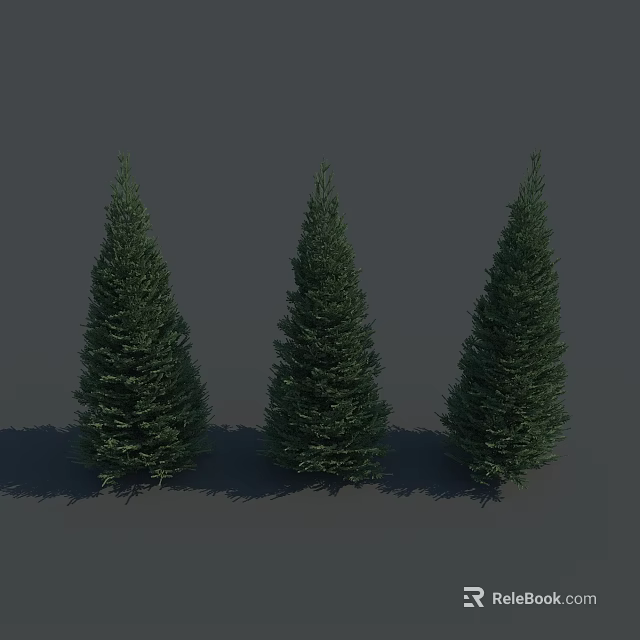 Three Tall Green Conical Trees with Natural Shadows on Gray Background 3d model 