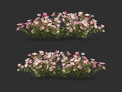 Pink And White Flower Cluster With Green Leaves In Garden 3d model