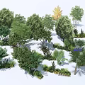 Diverse Arbor Species In Lush Garden Landscape With Green Foliage And Shrubs