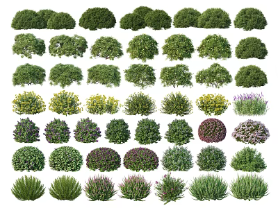 Various Types of Shrubs with Different Foliage Shapes Sizes and Colors for Landscaping 3d model