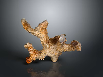 Natural Orange Beige Branched Coral Structure As Marine Aquatic Animals Habitat 3d model