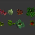 Various Potted Green Plants With Different Leaf Colors And Flower Pots