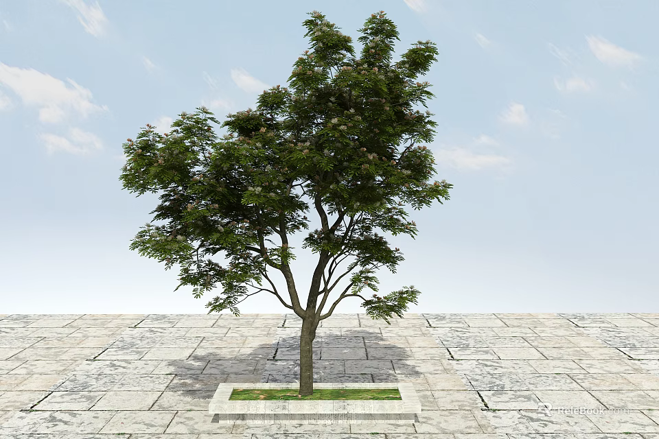 Tall Arbor Tree with Lush Green Leaves Growing on Stone Pavement under Blue Sky 3d model 
