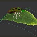 Modern Ladybug Bug 3d model