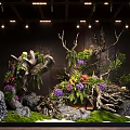 Decorative Natural Arrangement With Driftwood Green Plants Colorful Flowers Rocks And Moss