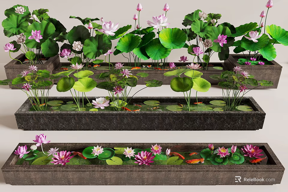 Lush Courtyard Garden Featuring Lotus Flowers And Leaves In Rectangular Ponds With Colorful Fish 3d model 